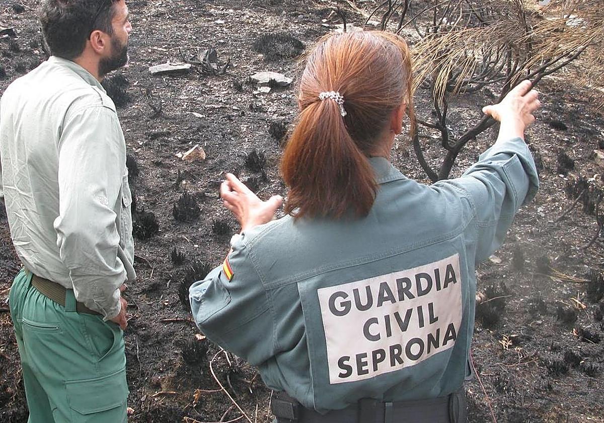 El Seprona interpone más de 3.100 infracciones en León con el maltrato animal a la cabeza