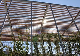 La nueva pérgola bioclimática junto a la avenida Reyes Leoneses.