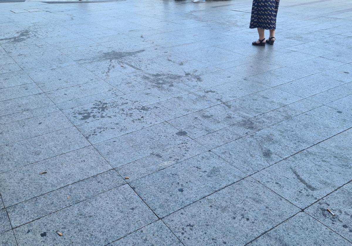 Suelo de la glorieta de Guzmán el Bueno.