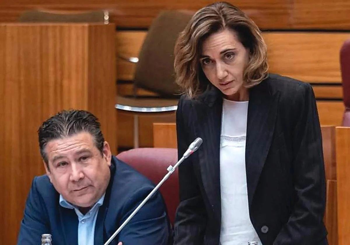 Imagen de archivo de Alicia Gallego, en las Cortes.