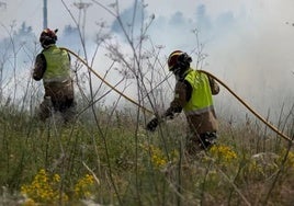Incendio en las inmediaciones del cementerio municipal de León.