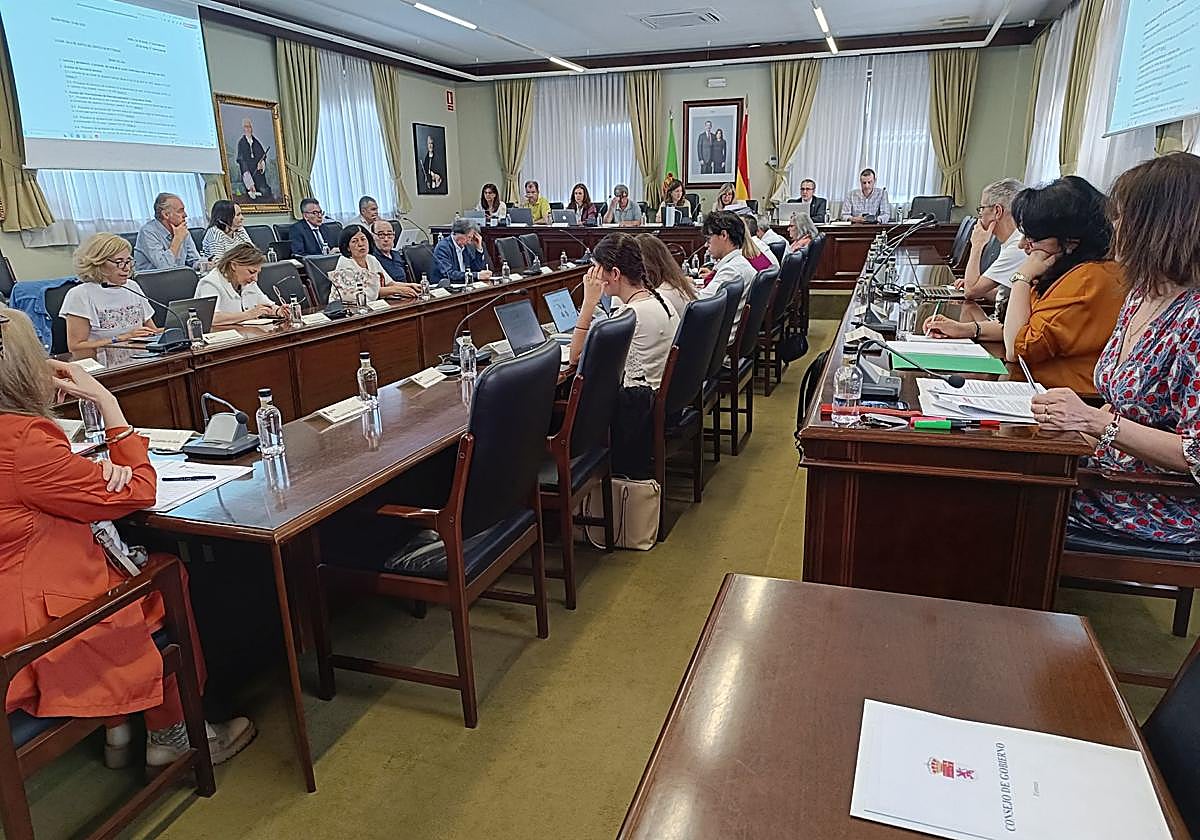 Consejo de gobierno de la ULE.