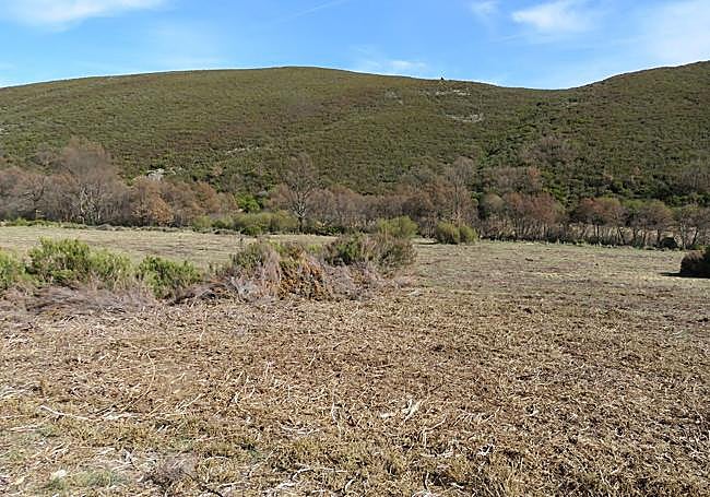 Recuperación de pastizales en Valdavido.