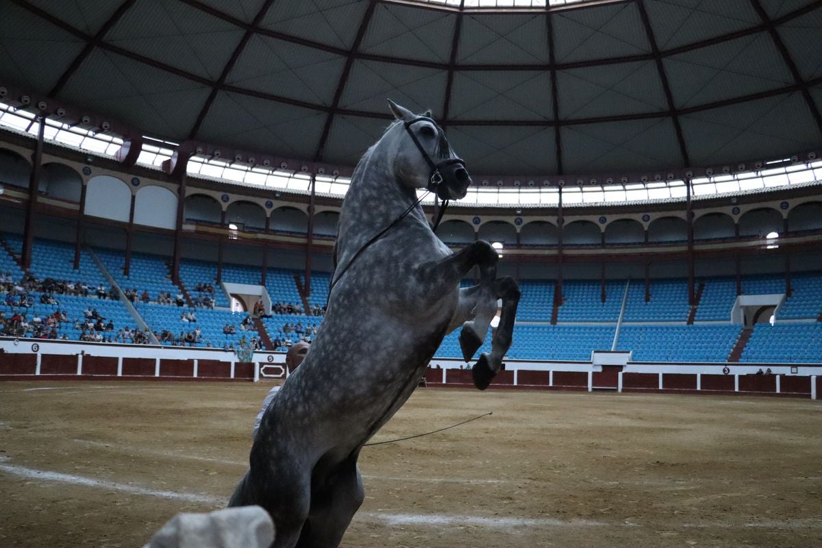 La Magia del Caballo, en imágenes