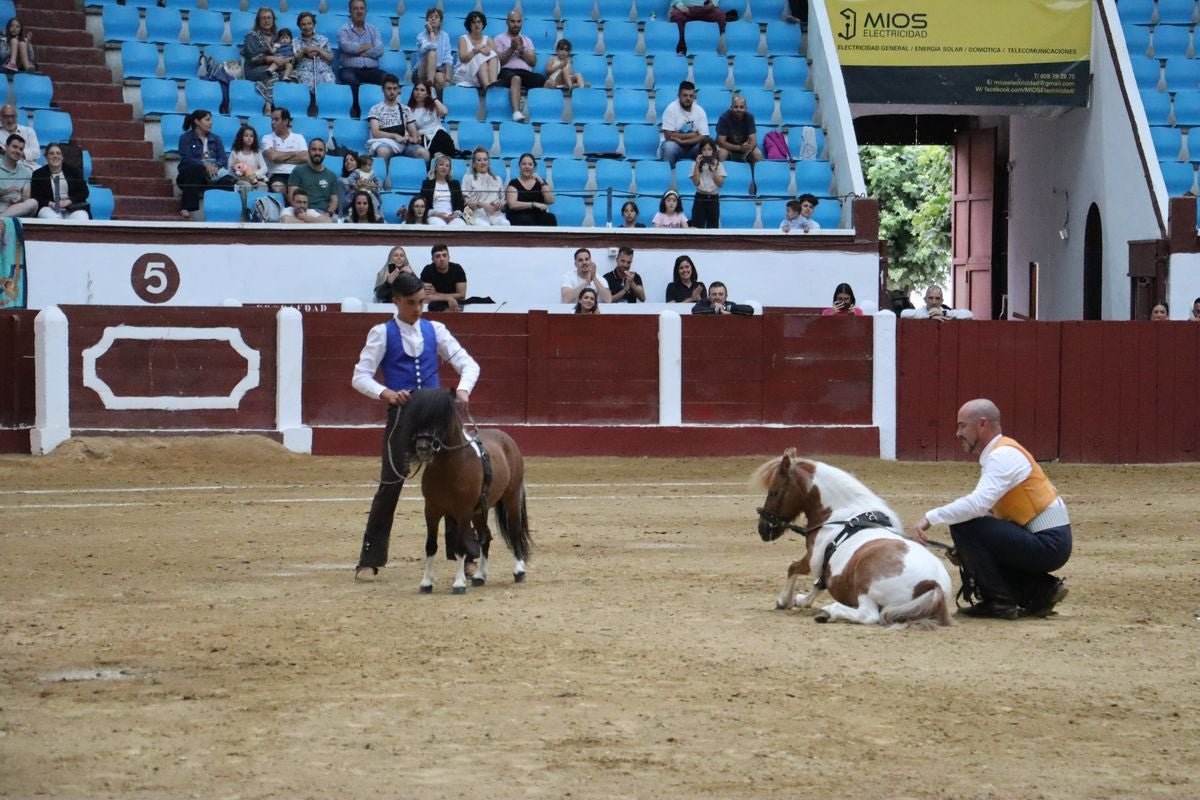 La Magia del Caballo, en imágenes