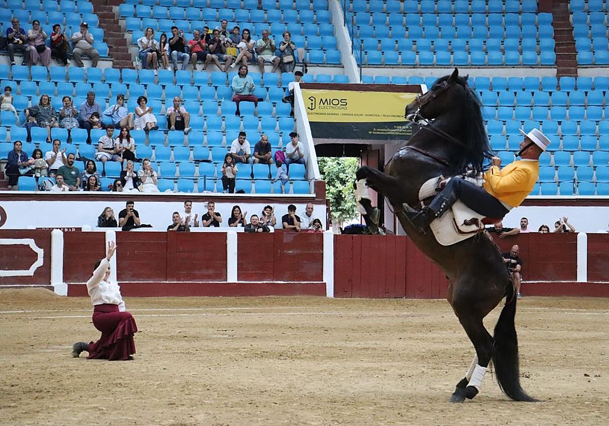 Final de uno de los números del espectáculo ecuestre.