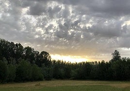Imagen de una pradera en Lorenzana.
