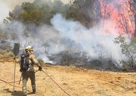 Imagen de archivo de un operativo BRIF en León.