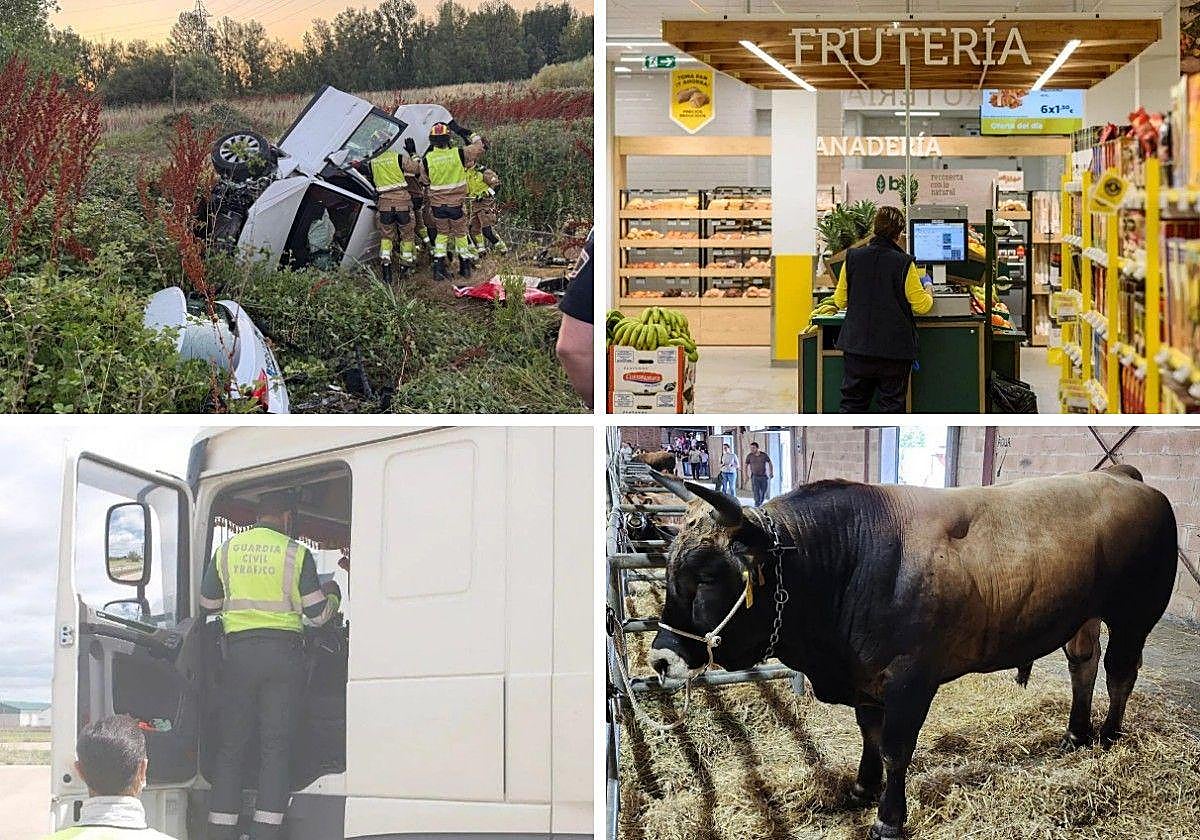 Las imágenes del día.