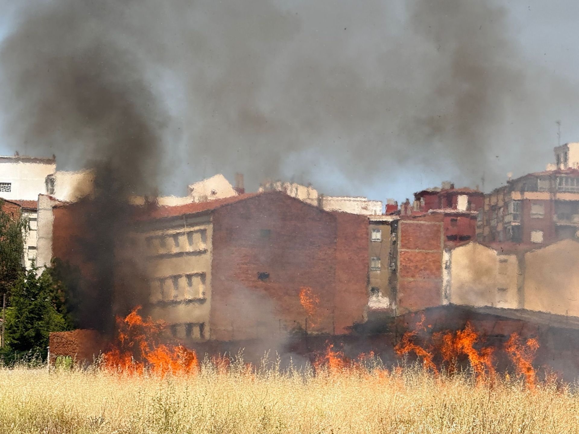Incendio de un solar en La Palomera