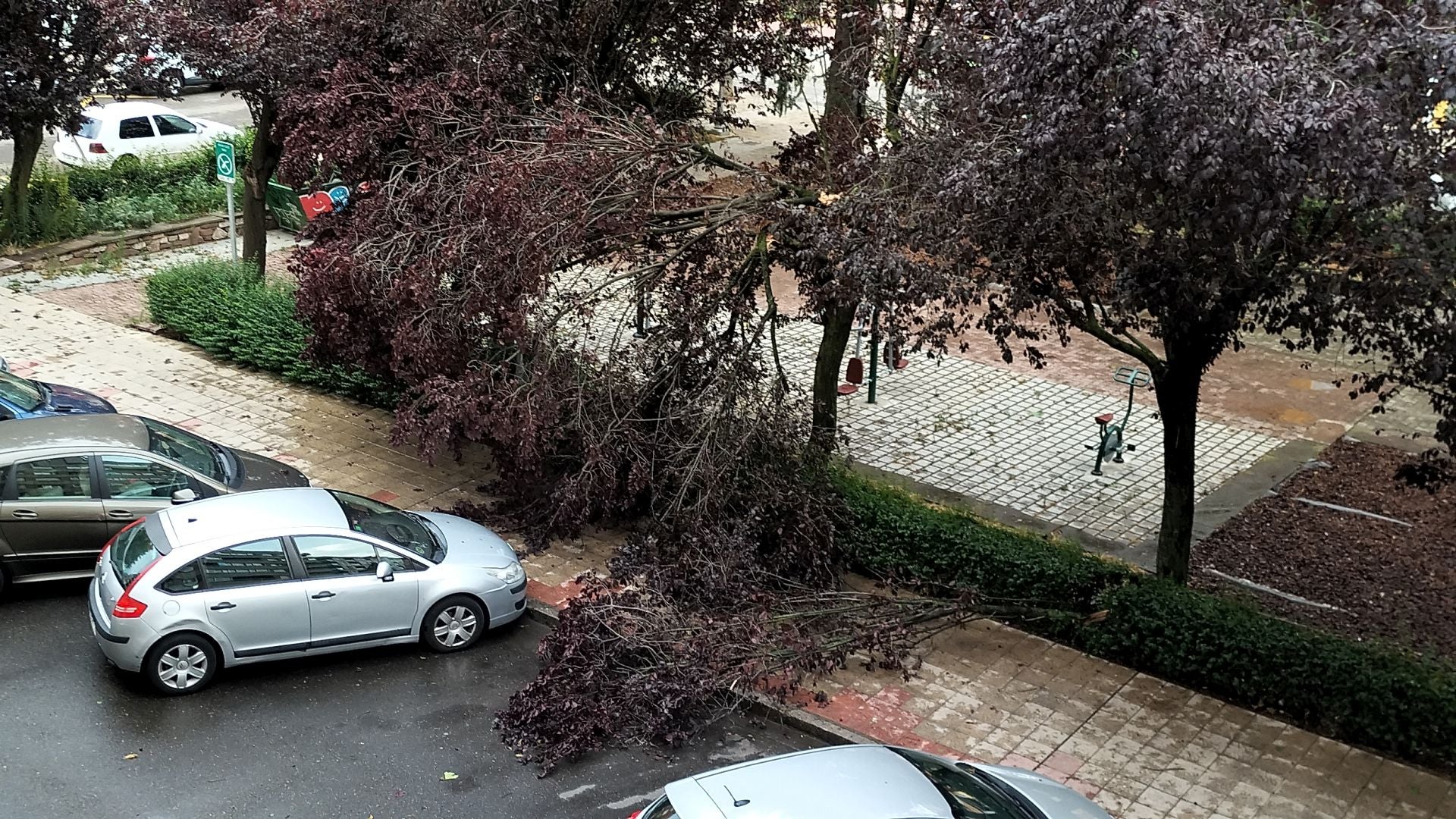 Las imágenes de la espectacular tormenta de granizo que ha caído en León
