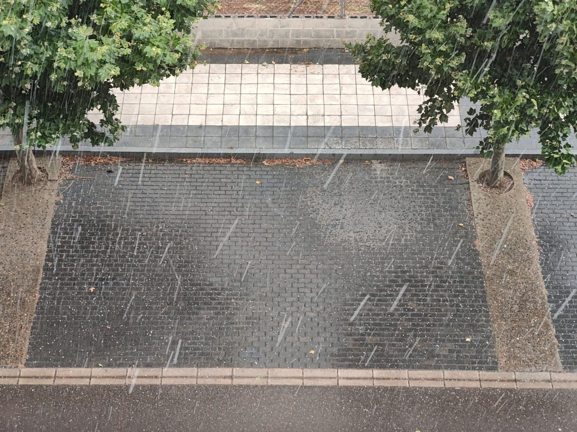 Las imágenes de la espectacular tormenta de granizo que ha caído en León