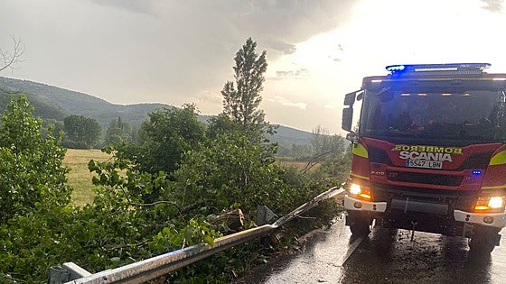 Un gran árbol caído por la tormenta de granizo corta la CL-624 en Vegaquemada