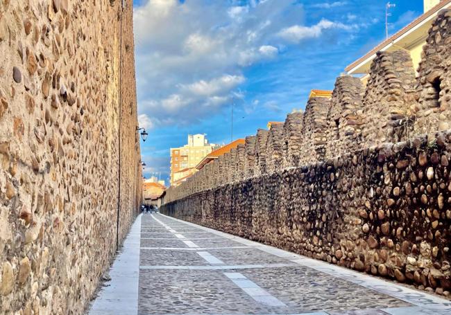 Murallas medievales de la ciudad de León, pertenecientes a los siglos XIII y XIV.