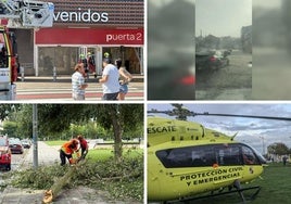 Las imágenes del día.