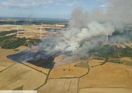 Incendio forestal en San Pedro de Valderaduey.