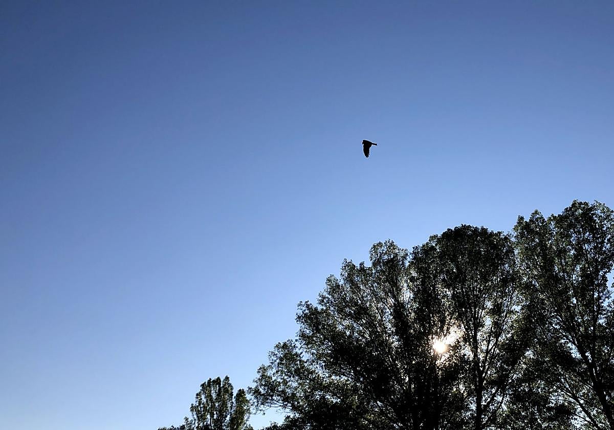 Cielo de León en verano.