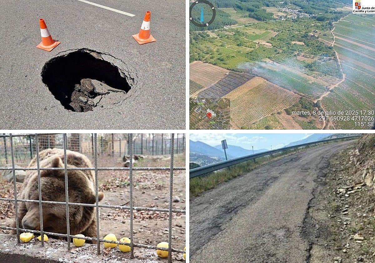 Las imágenes del día.