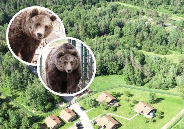 Así es la nueva casa de Ponderoso y Luna: un santuario en el corazón de Alemania y con 14 compañeros
