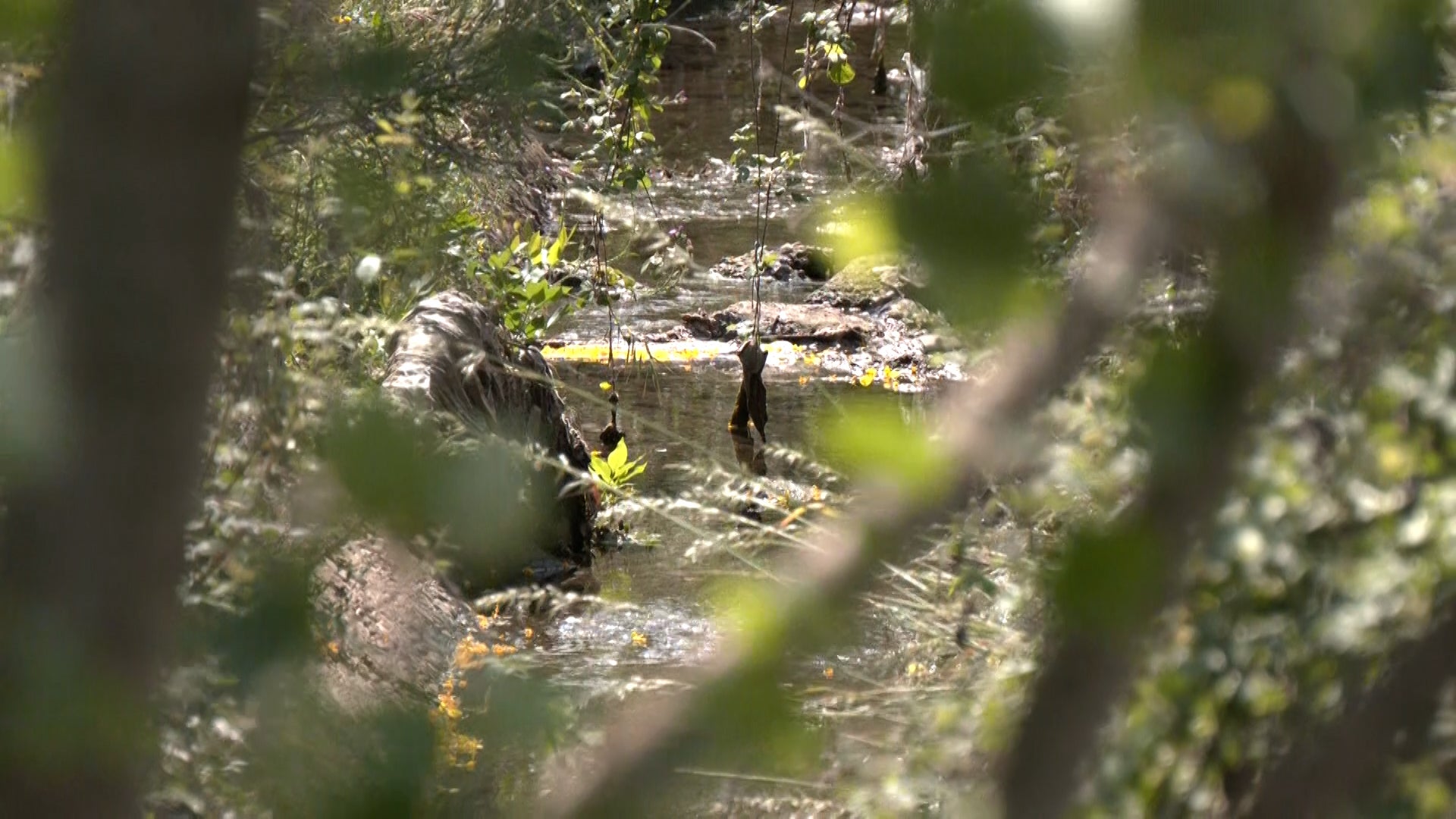 Así es el barrio de La Palomera en León