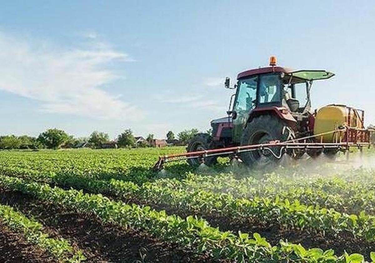 Imagen de archivo de una recogida en el campo.