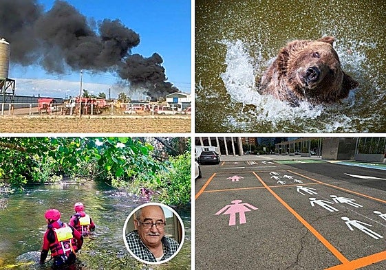 Las imágenes del día.