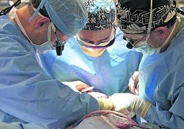 León suma 15 donantes de órganos en el primer semestre del año