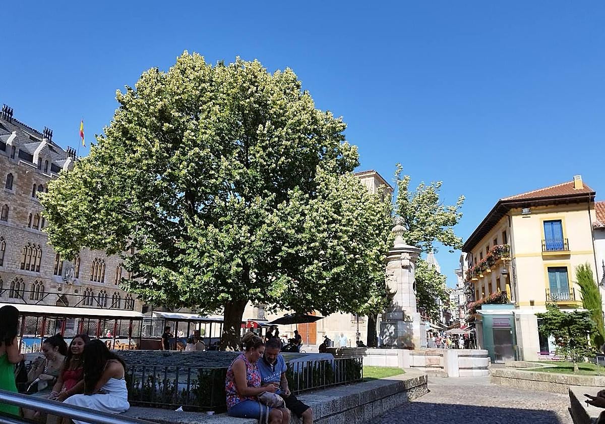 Varias personas conversan a la sombra con Botines al fondo.
