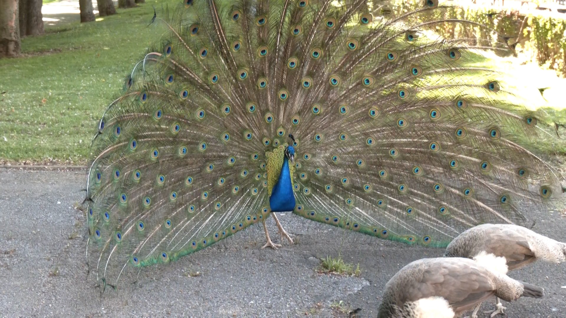 Así es el barrio de El Crucero