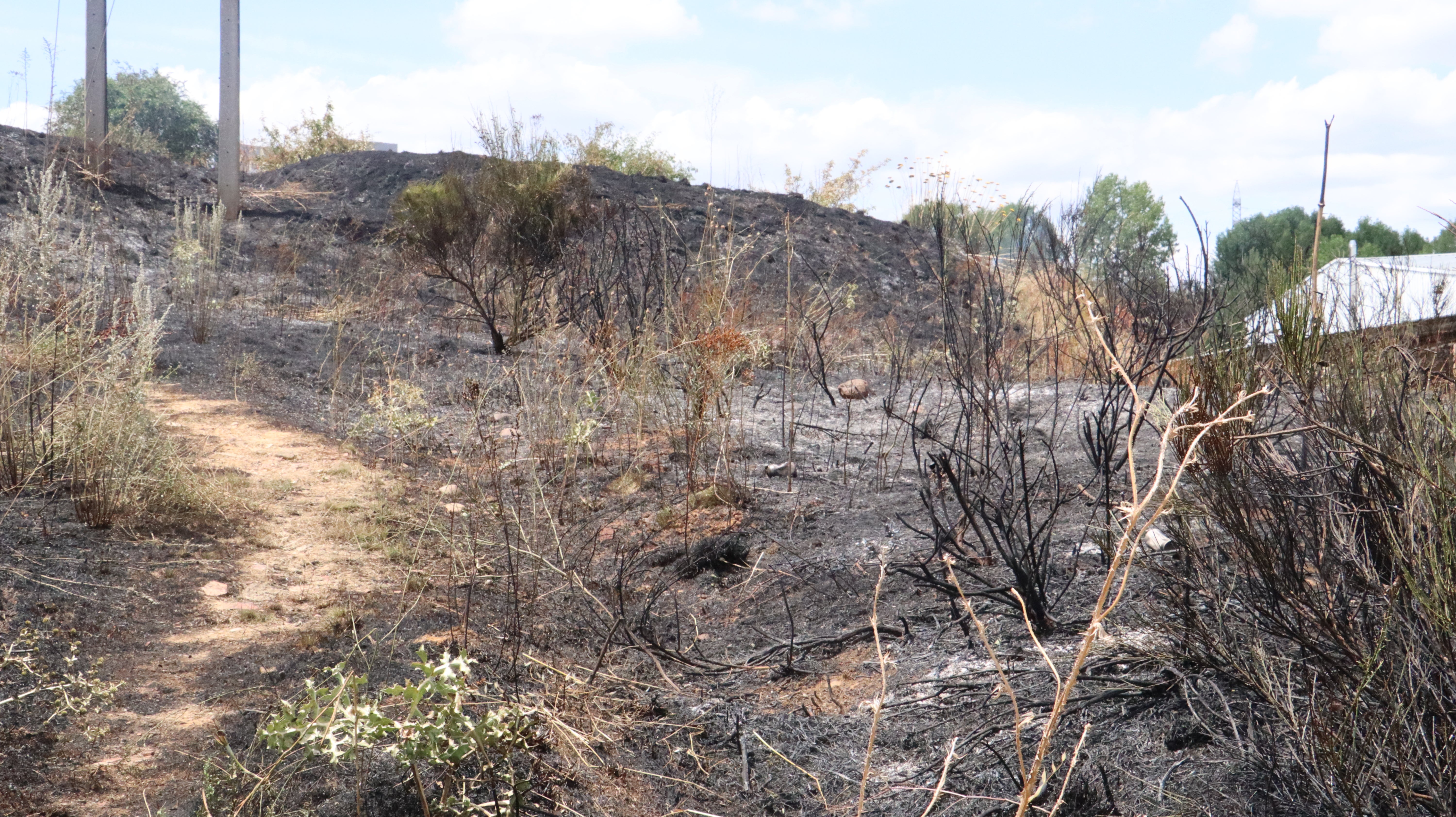 Así ha sido el incendio cercano al Hospital de León