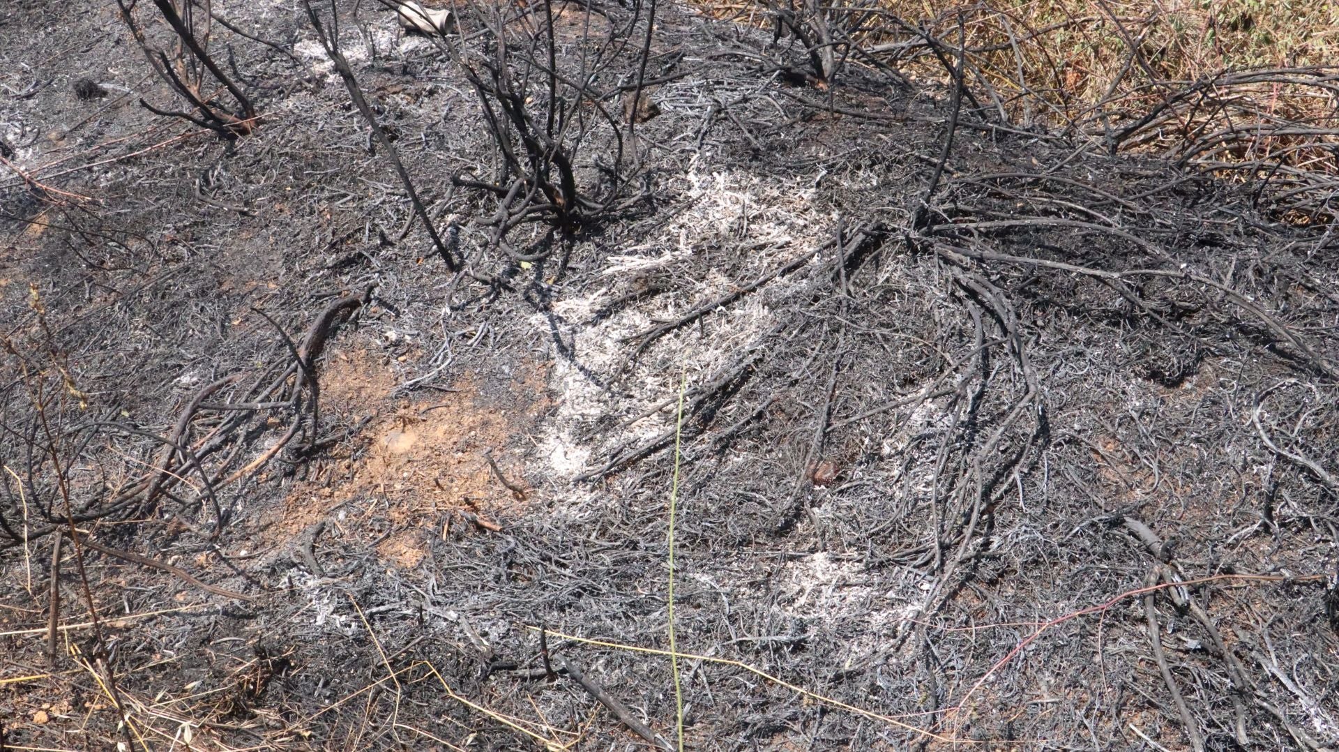 Así ha sido el incendio cercano al Hospital de León