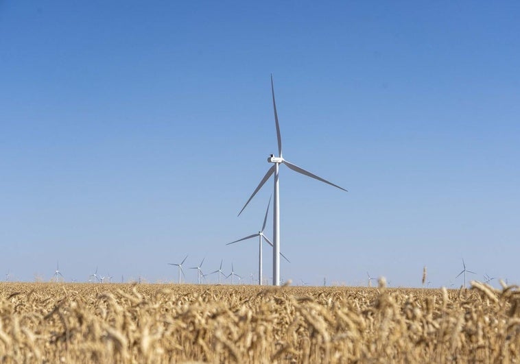 Castilla y León instaló la mitad de la potencia eólica de todo el país en 2024