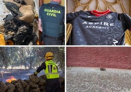 Las imagenes del día.
