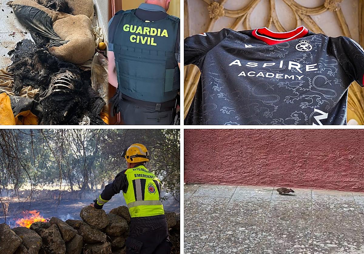 Las imagenes del día.