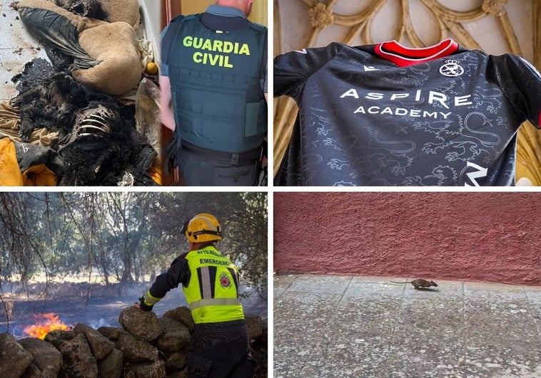 Las noticias imprescindibles del sábado 19 de julio en León