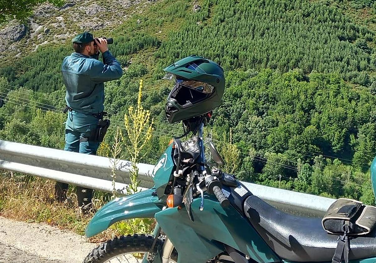Guardia civil del Seprona.