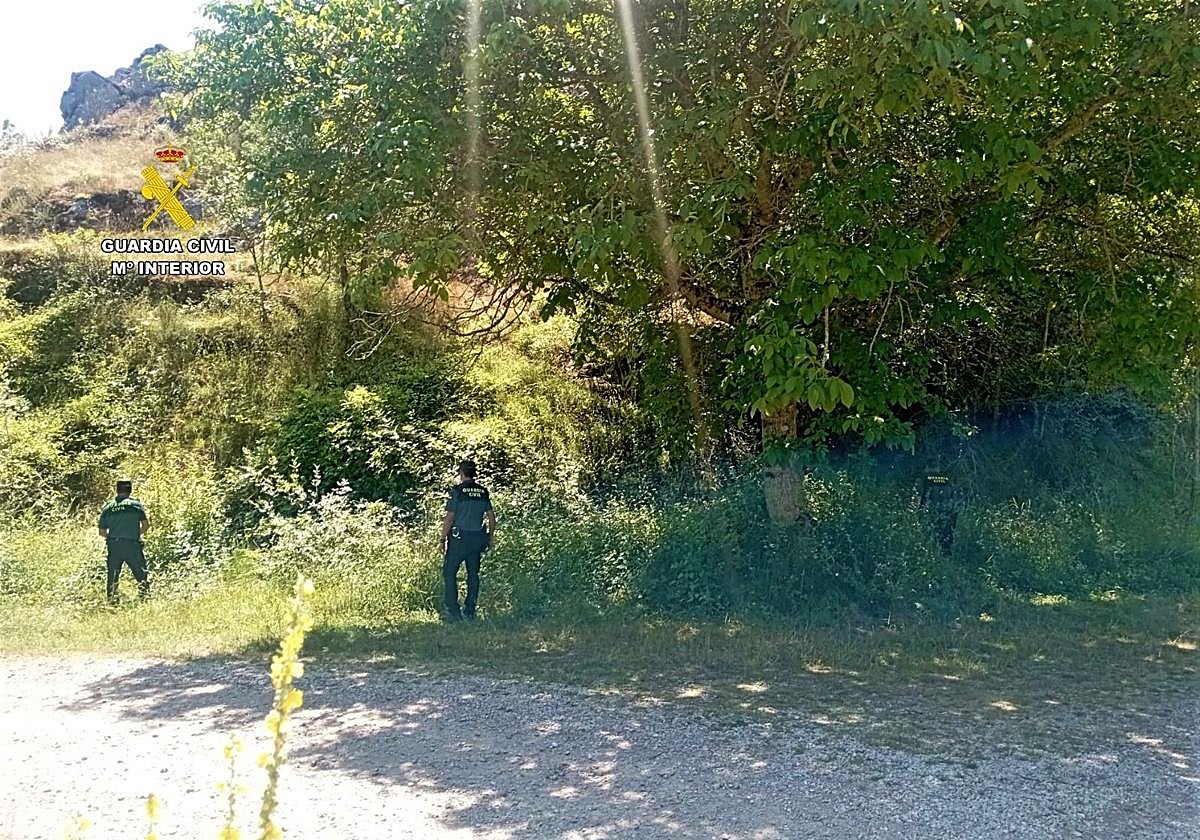 Drones pegaso y helicópteros se incorporan a la búsqueda de un hombre de 66 años desaparecido en Candanedo de Fenar