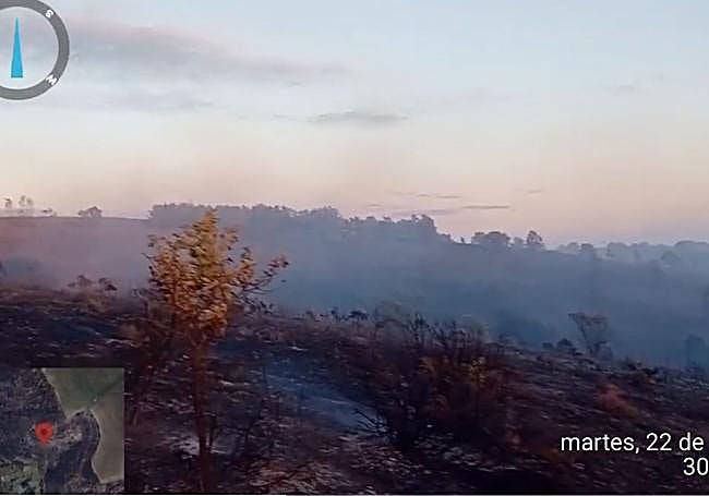 Área calcinada tras el incendio.