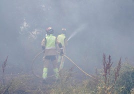 Bomberos trabajando para sofocar el fuego declarado junto a la Escuela de Ingeniería Agraria y Forestal de León.