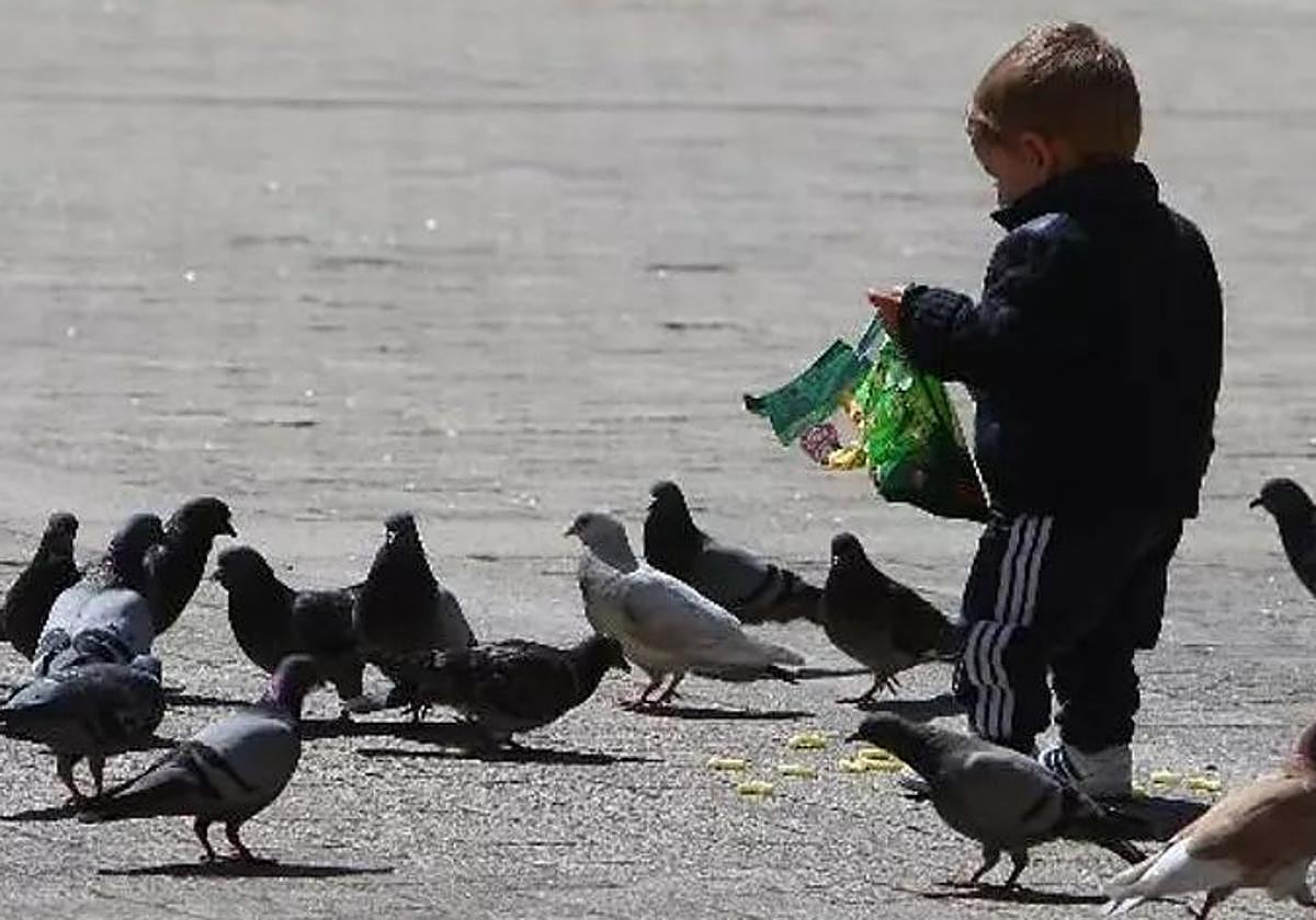 Imagen de un niño leonés danod de comer a las palomas.