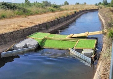 La CHD implanta medidas en el canal de Arriola para evitar ahogamientos de fauna silvestre