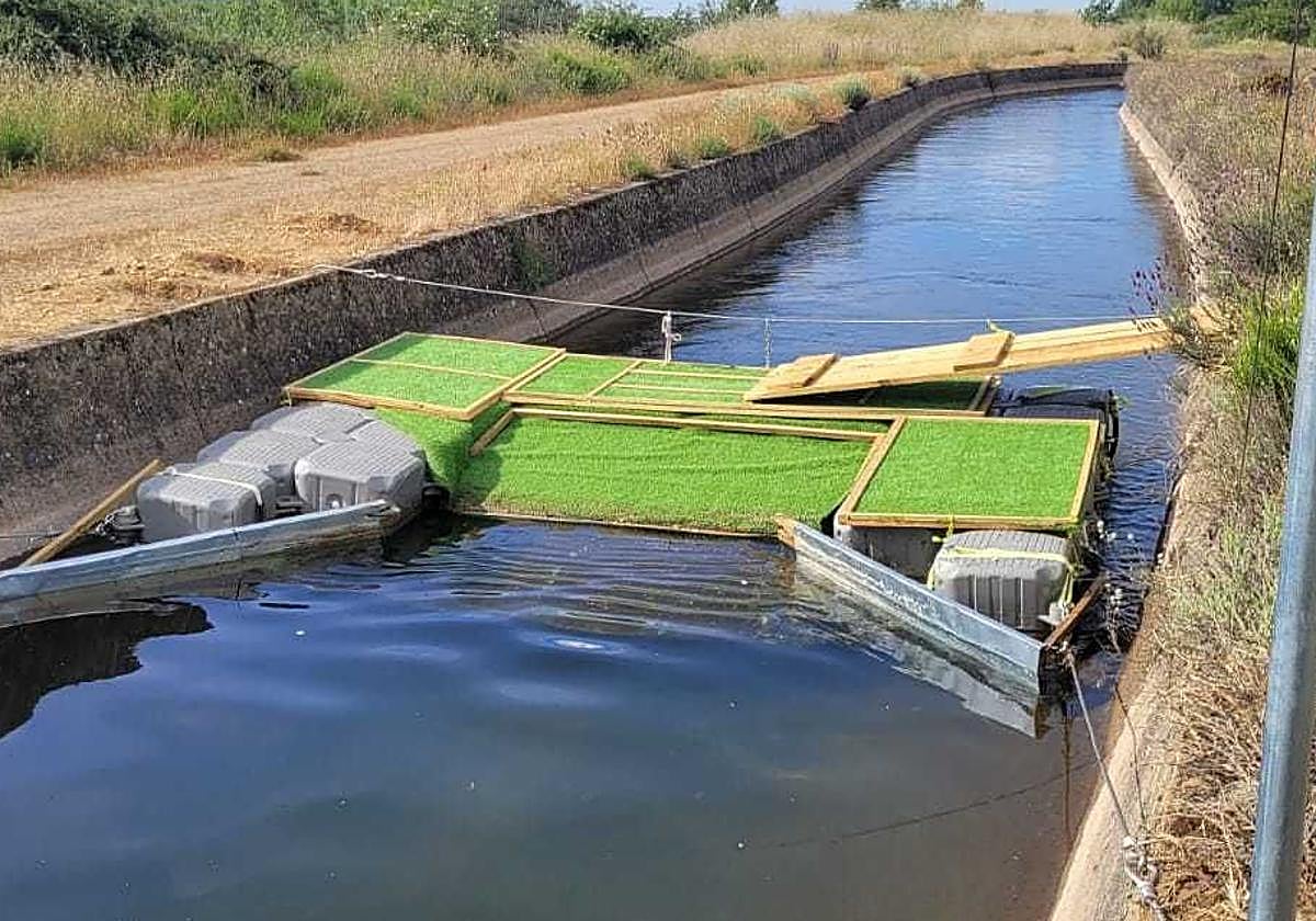 Dispositivo de paso colocado en 2024 en el canal de Arriola.