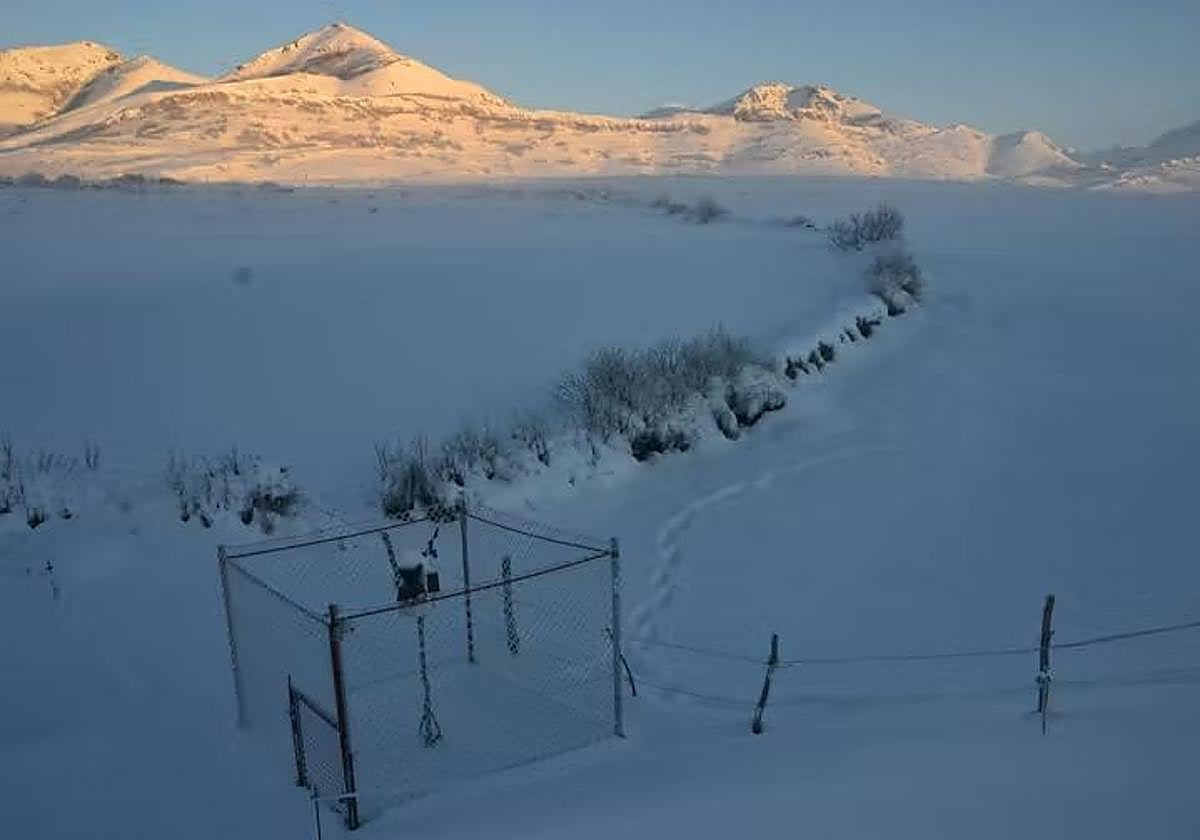 Imagen de la estación meteorológica de Prado Veneiro rodeada de nieve.
