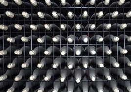 Trece medallas para vinos de la DO León en los International Wine & Spirits Awards