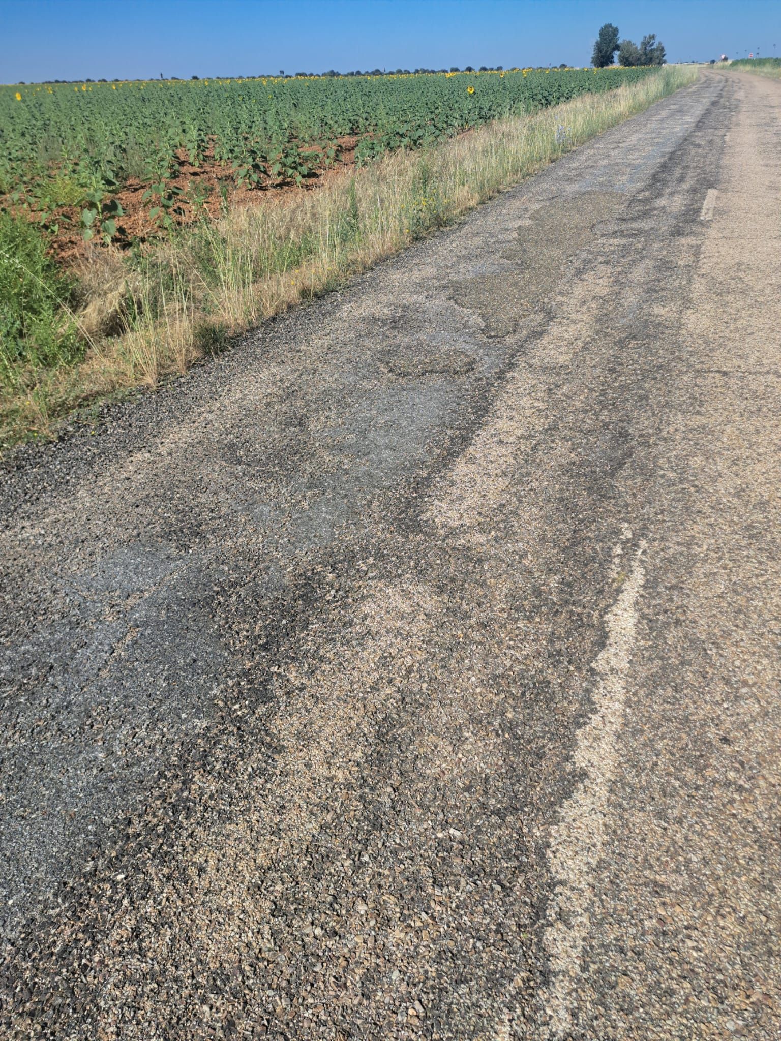Imagen secundaria 2 - Estado de la carretera que une Izagre con la N-601.