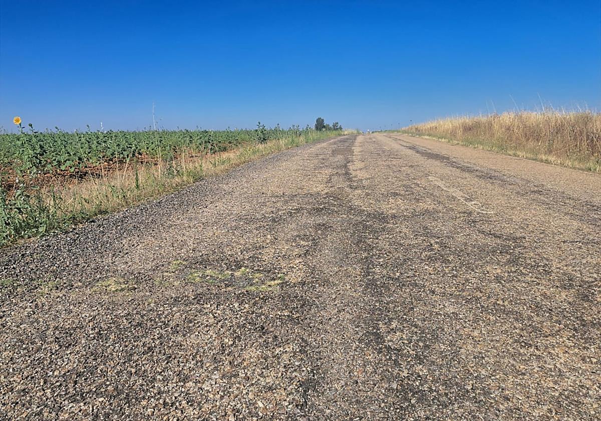 Imagen principal - Estado de la carretera que une Izagre con la N-601.