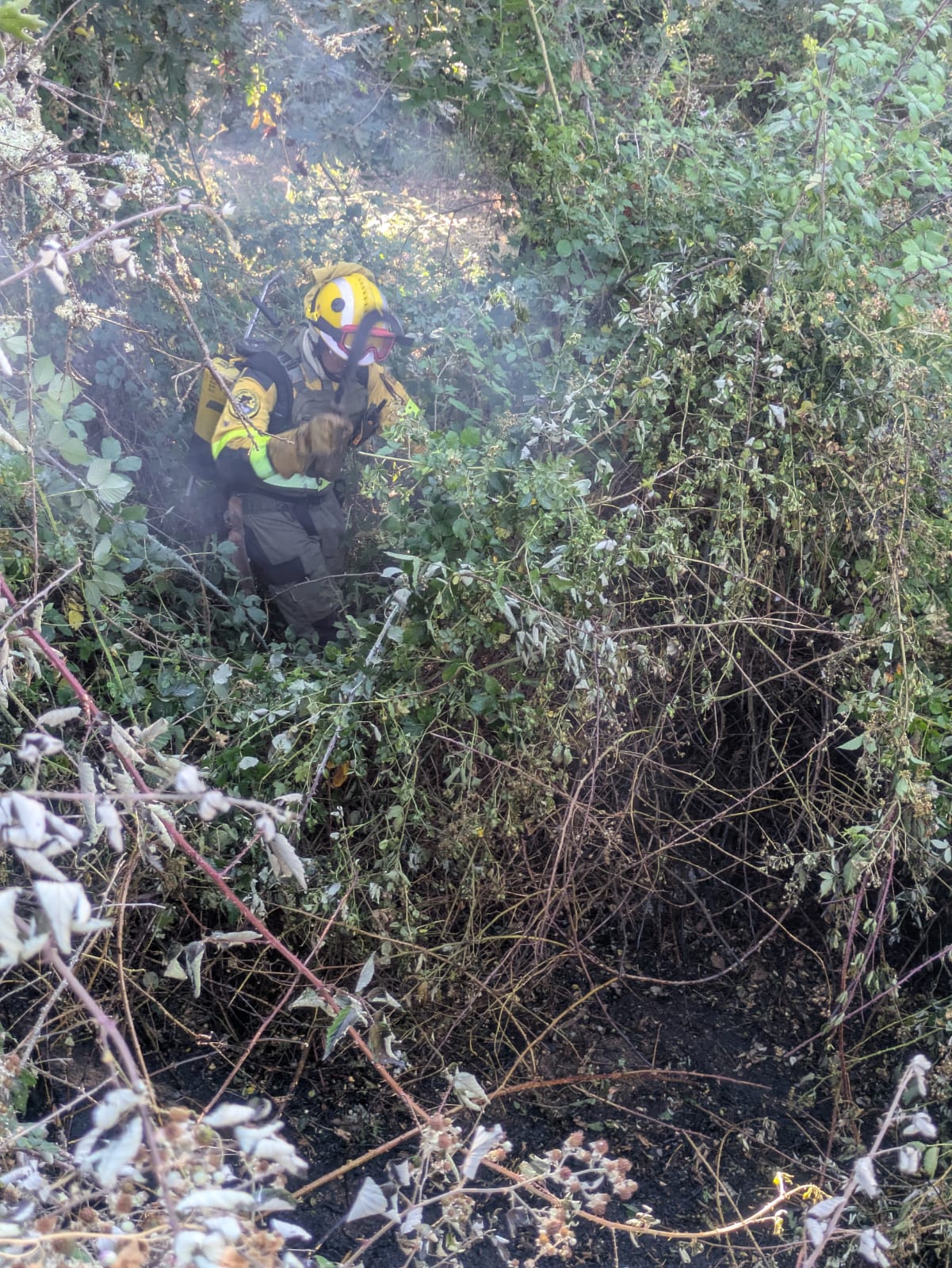 Así ha sido el incendio junto a Santa Colomba de Somoza