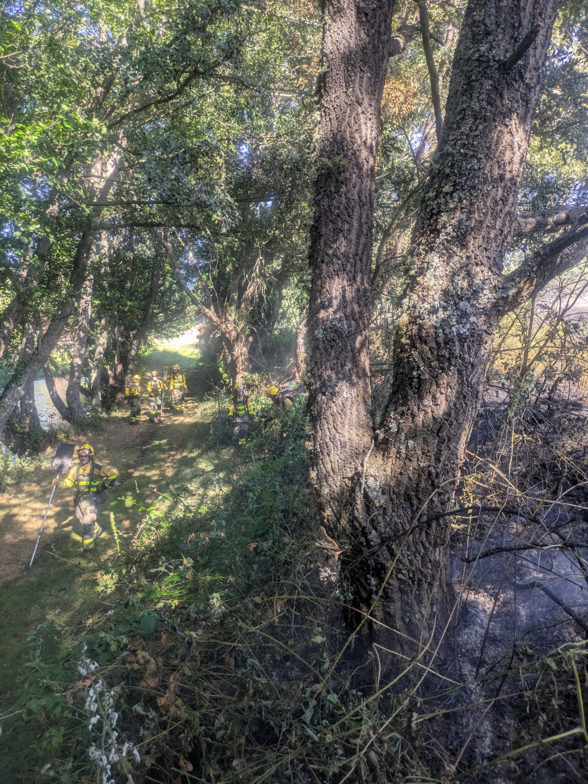 Así ha sido el incendio junto a Santa Colomba de Somoza