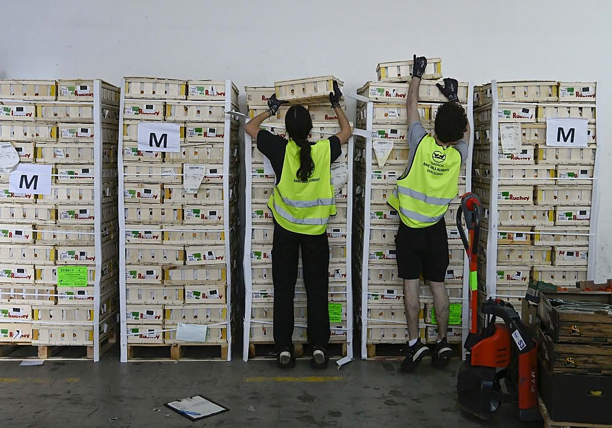 Sexta campaña de la campaña 'Ningún hogar sin alimentos'.