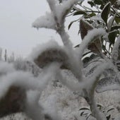 Imagen de una helada en León.